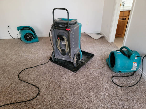Best 24-hour water damage restoration  in Chino Valley, AZ