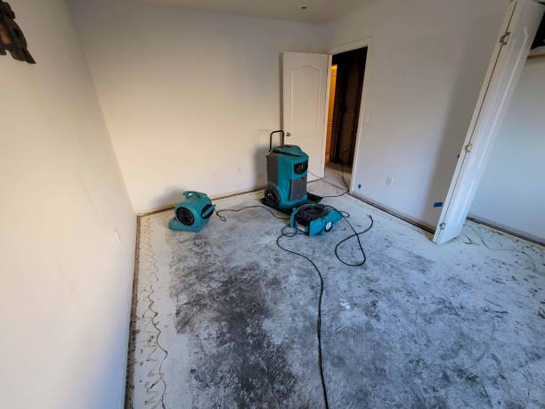 Local water damage restoration in Chino Valley, AZ