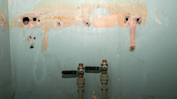 Best Emergency water extraction  in Chino Valley, AZ