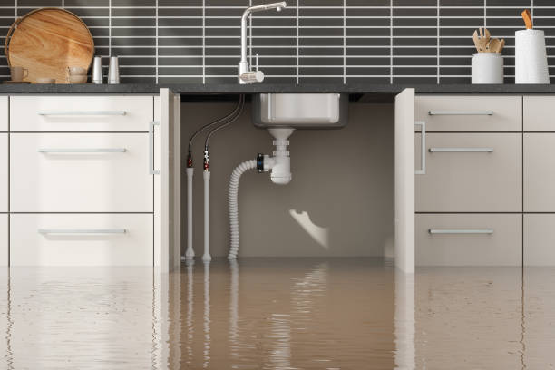 Best Basement water damage restoration  in Chino Valley, AZ